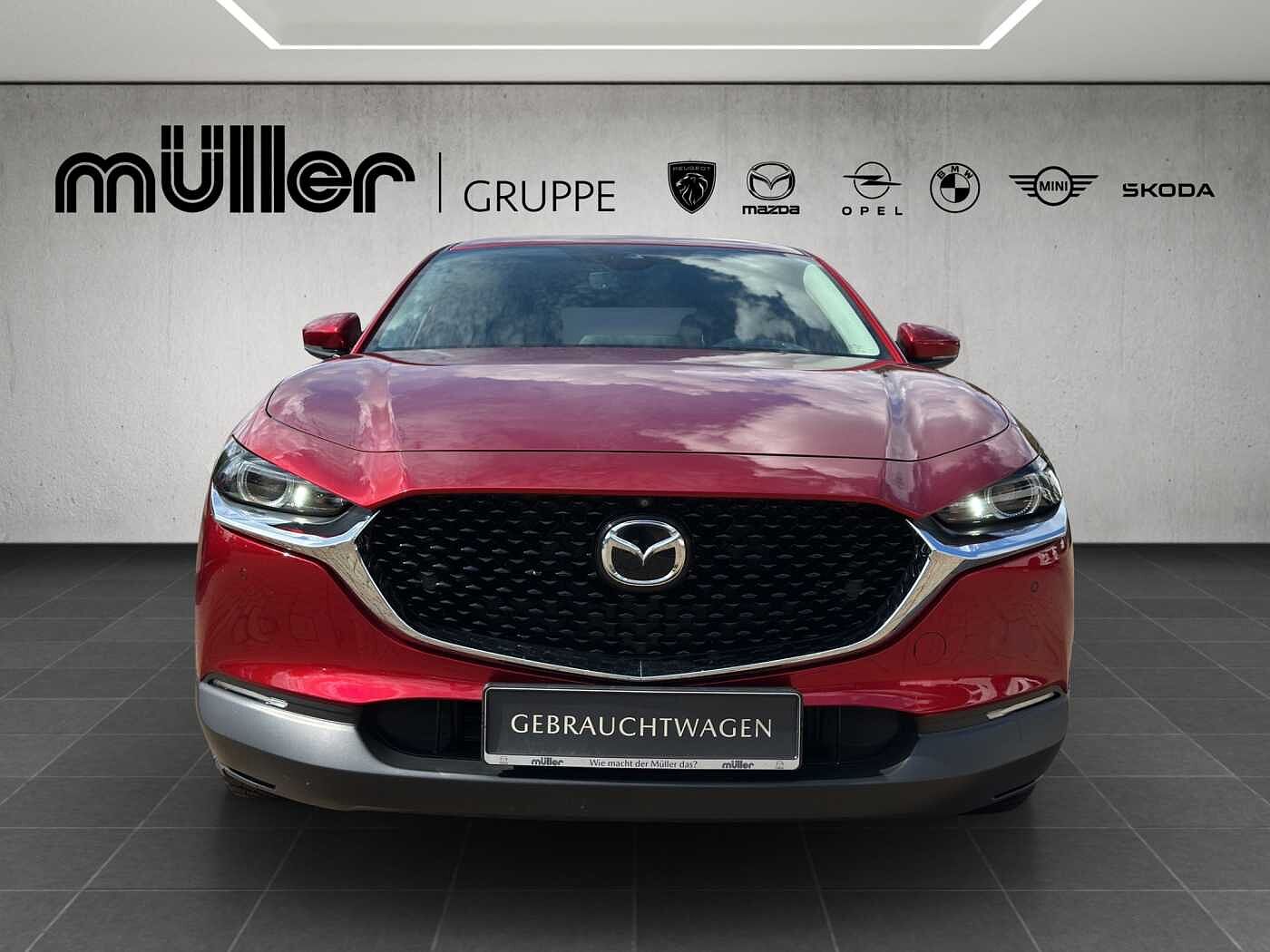 Bild des Fahrzeugs