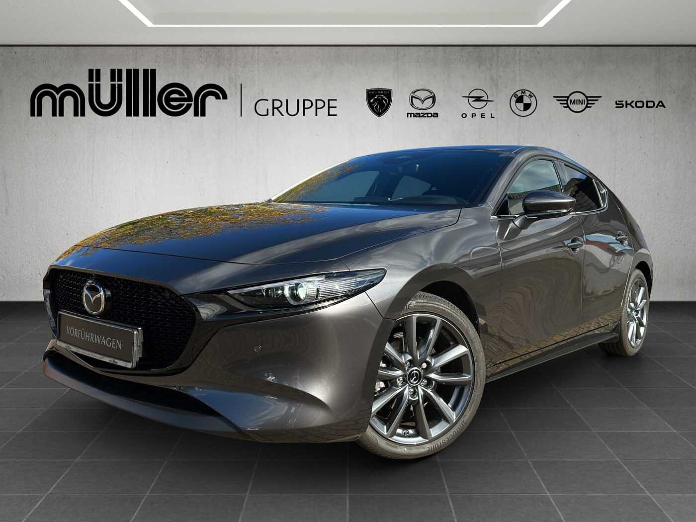 Vorschaubild des Fahrzeugs