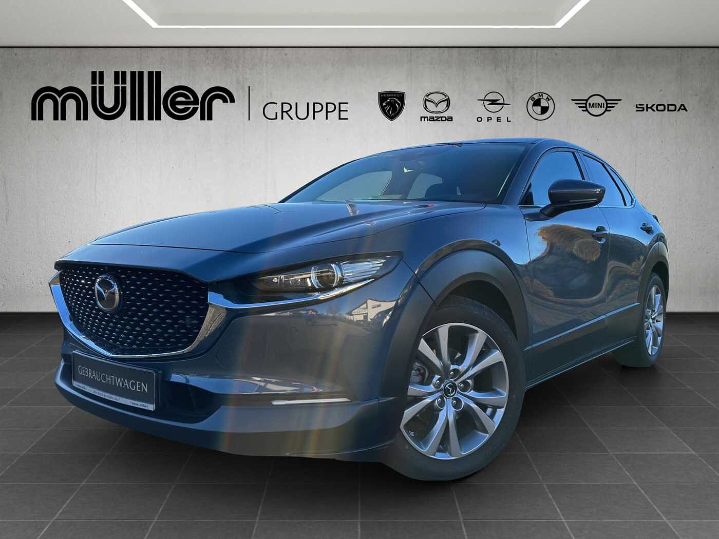 Vorschaubild des Fahrzeugs