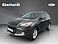 Ford Kuga Family